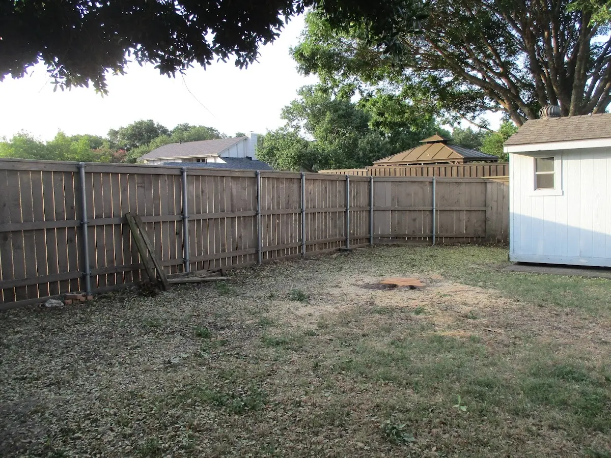 Cleared yard after professional tree removal in Downsville